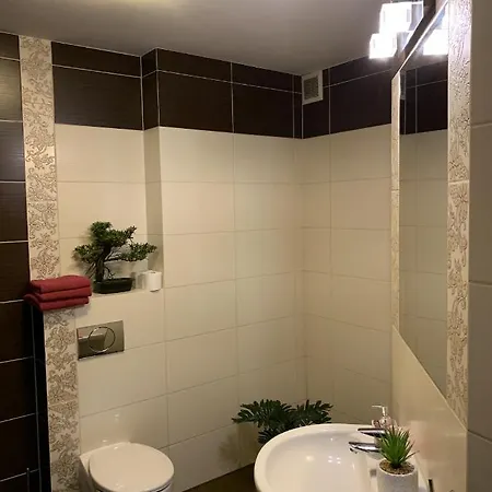 Pulaskiego 11a - Przestronne Apartamenty, Centrum סופוט